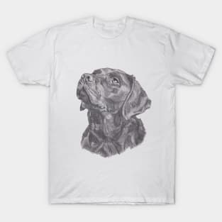 Classic Labrador Retriever Dog Profile Drawing T-Shirt